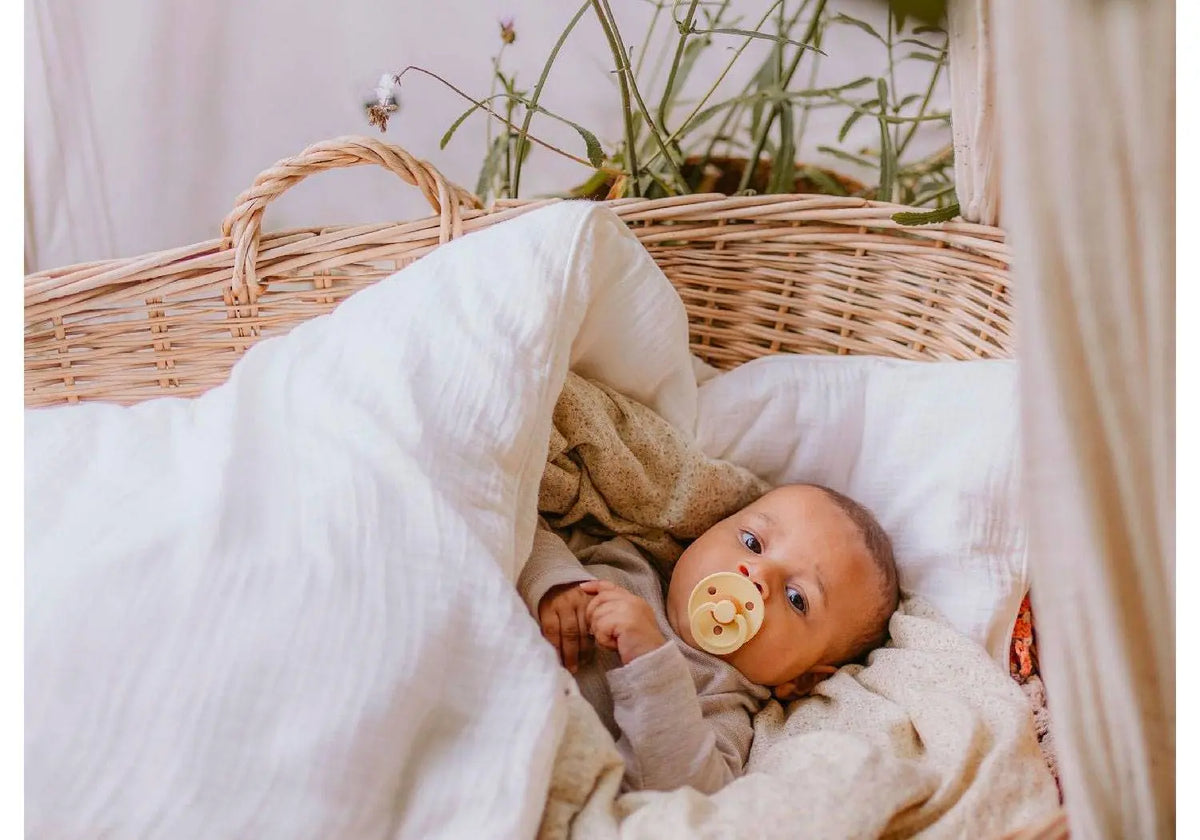 Tétine en caoutchouc naturel Bibs - Fossil grey - Lilinappy