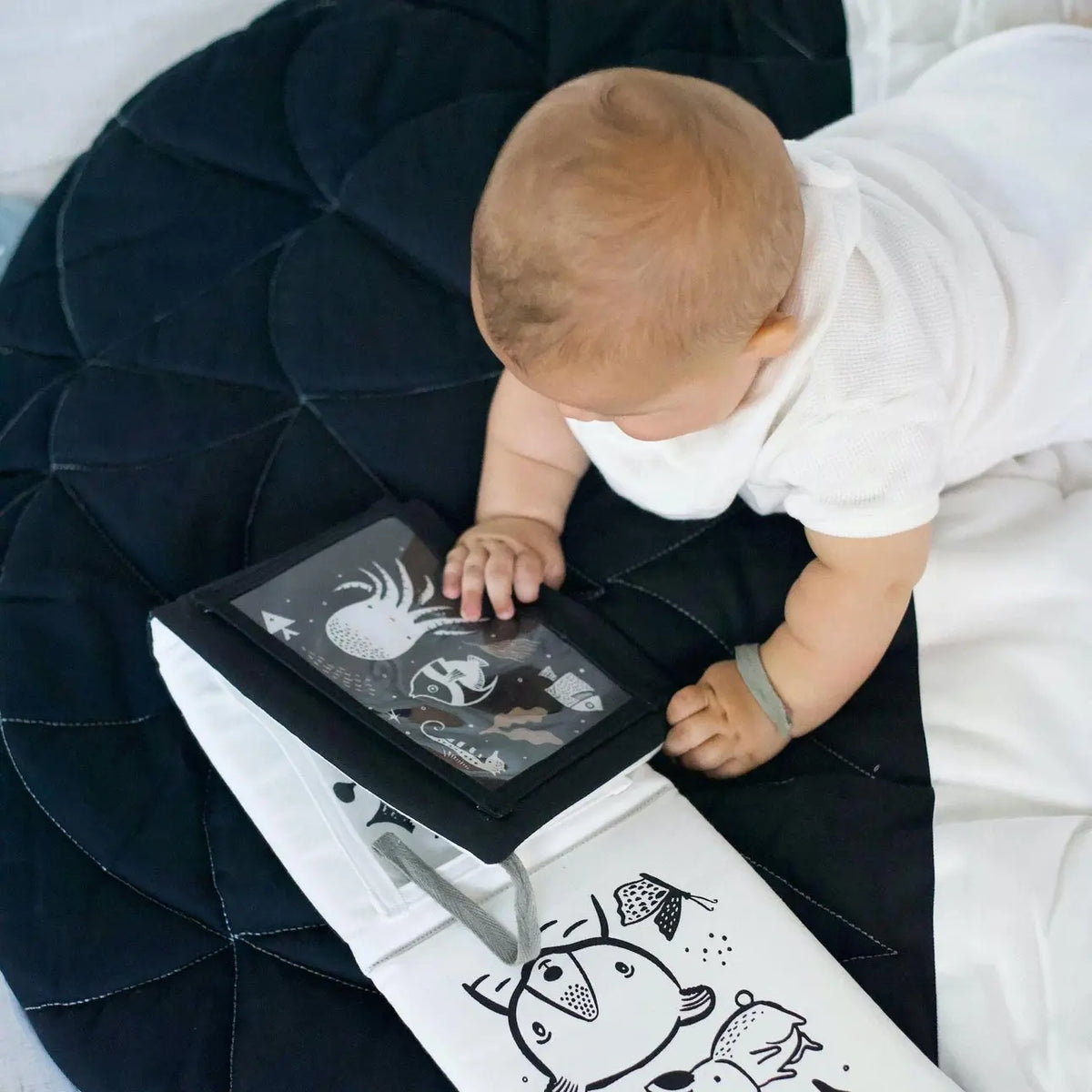 Coffret Cadeau support & cartes contrastées Wee Gallery - Bébés animaux