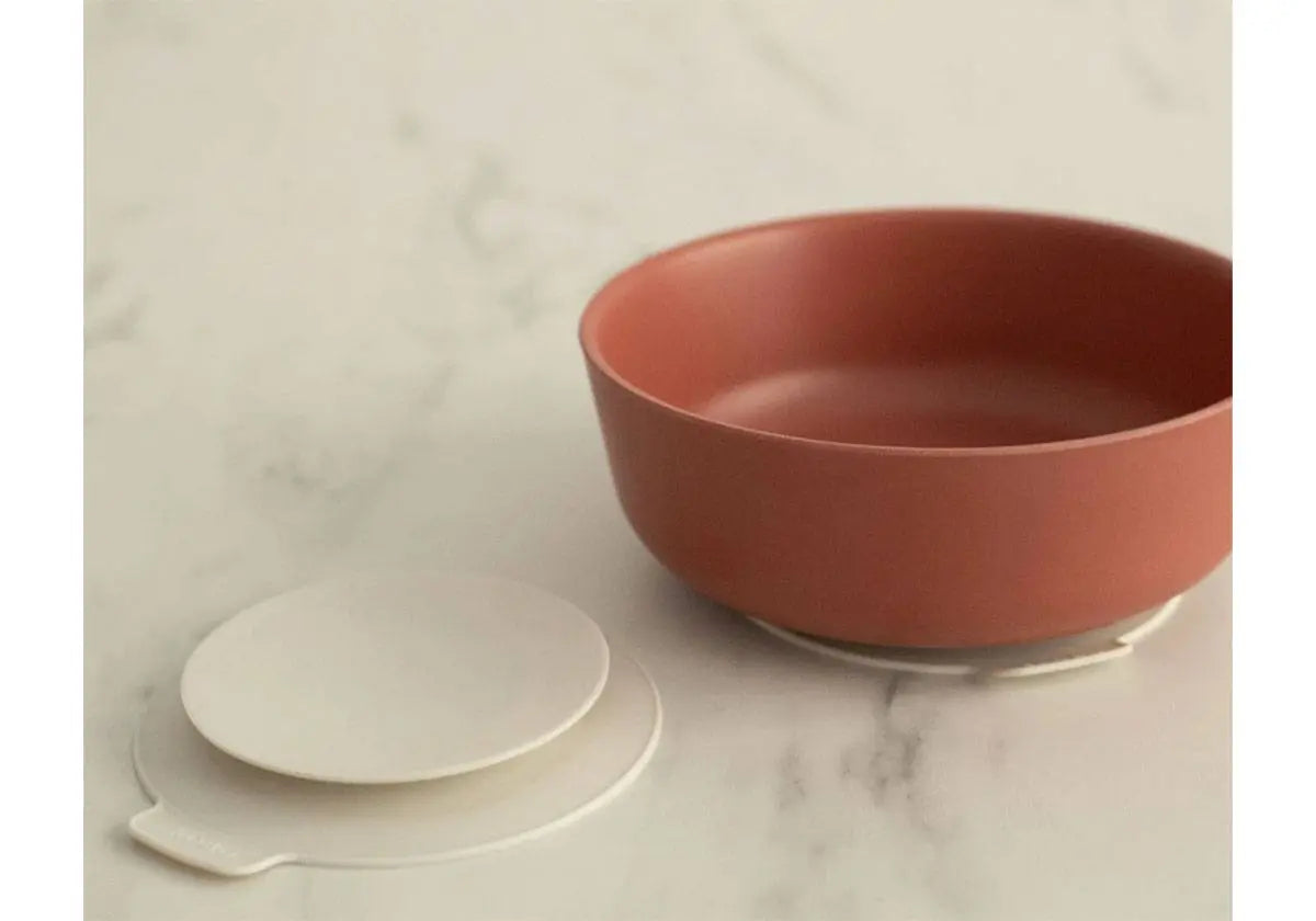 Lot de 2 ventouses universelles pour assiette et bol Ekobo - Lilinappy