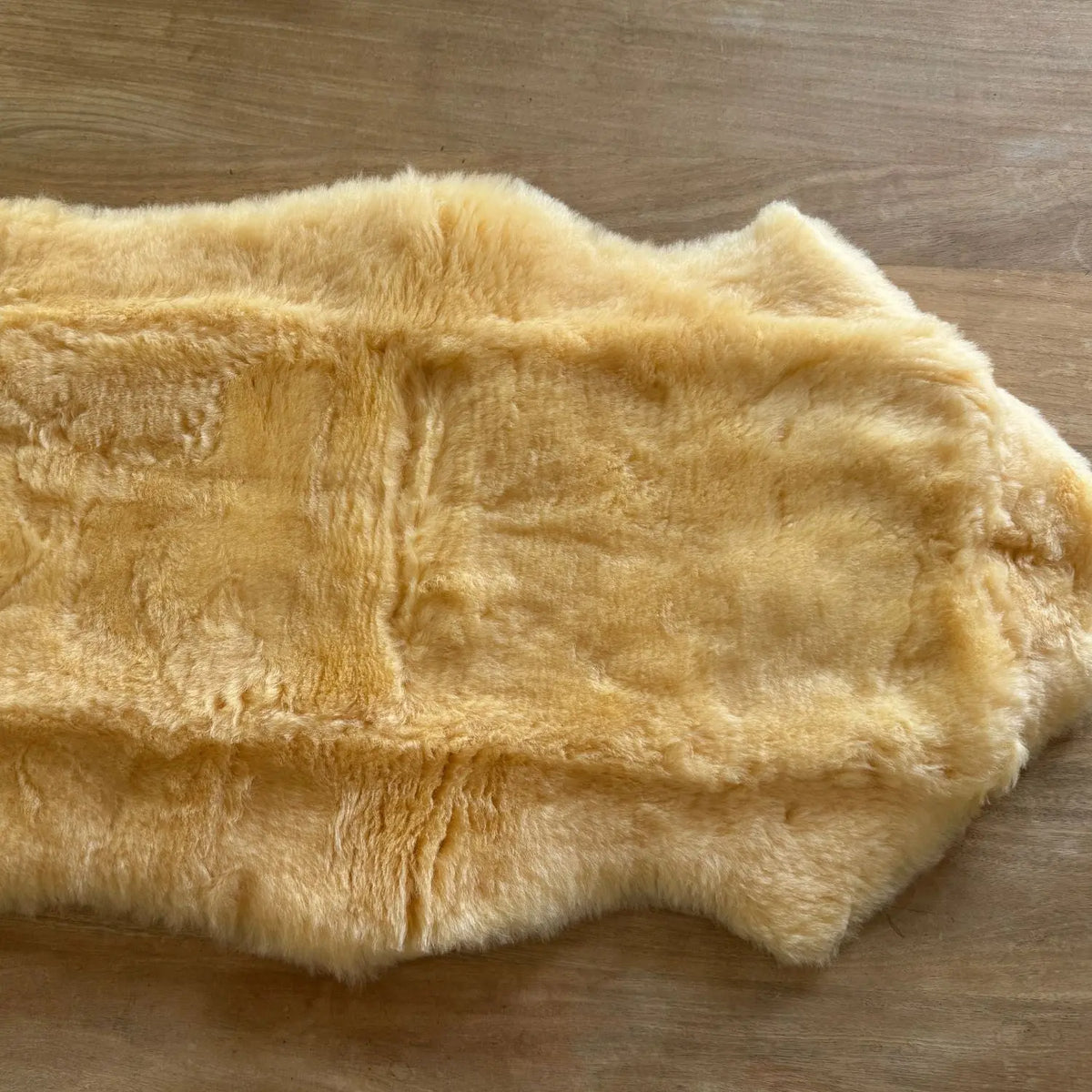 Peau d’agneau Merinos à tannage médical Kaiser - 80-90cm 