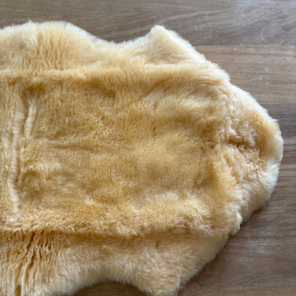 Peau d’agneau Merinos à tannage médical Kaiser - 80-90cm 