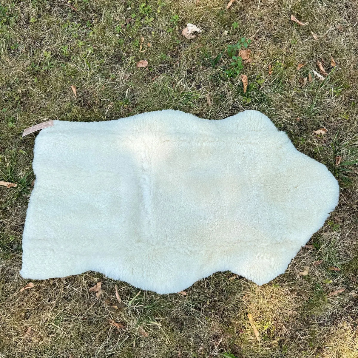 Peau d’agneau Mimosa à tannage végétal Kaiser - 80-90cm 
