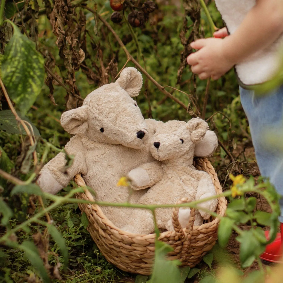 Doudou bouillotte en coton bio & laine Senger Naturwelt - Petit ours lin 