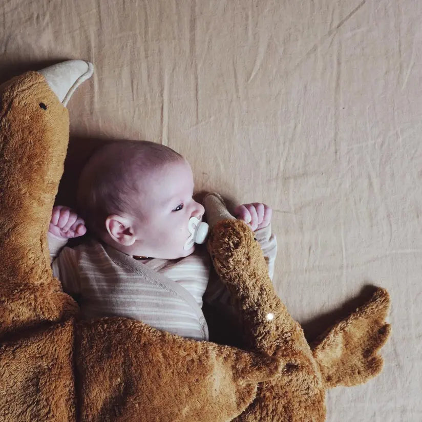 Doudou bouillotte en coton bio & laine Senger Naturwelt - Oie rouille 
