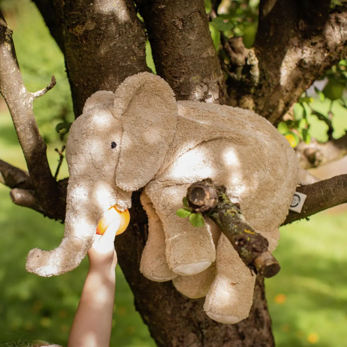 Doudou bouillotte en coton bio & laine Senger Naturwelt - Éléphant 