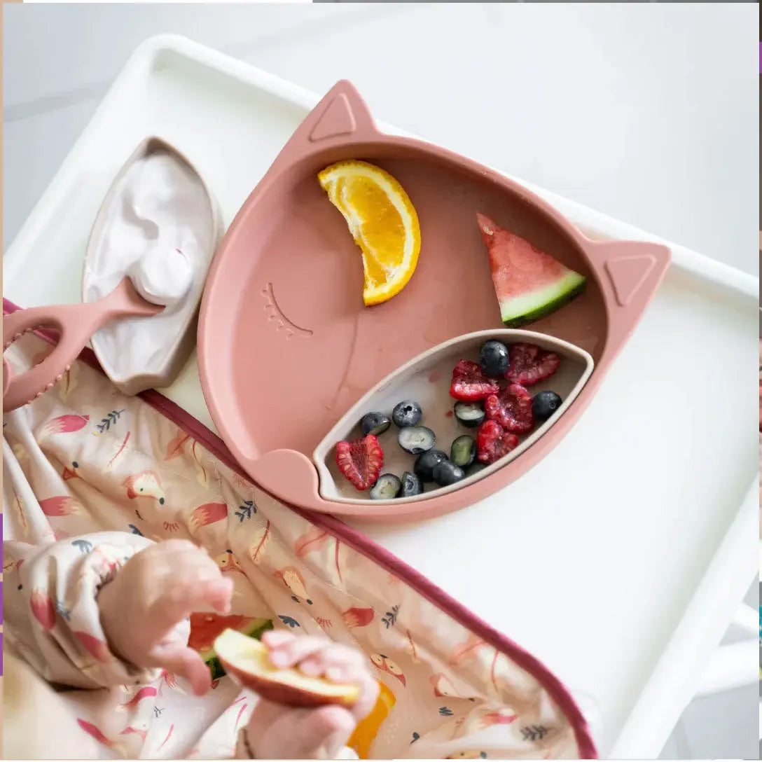 Coffret spécial DME Tidy Tot - Fox - Lilinappy